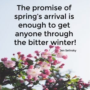 Spring Arrivals after a Bitter Winter